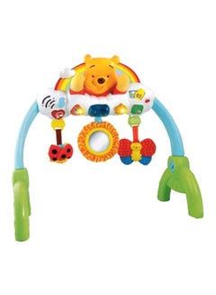 2-In-1 Peek A Boo Gym Toy