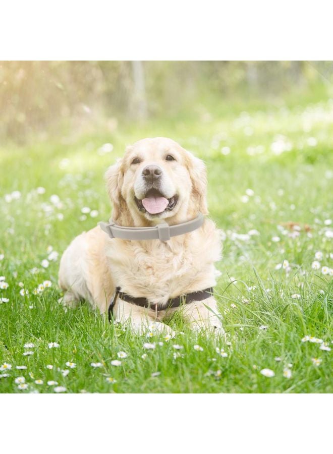 طوق للحيوانات الأليفة مضاد للماء رمادي 62سم - Image 3