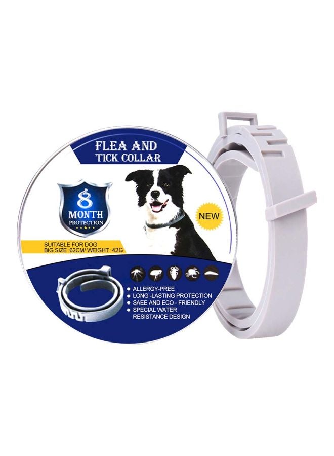 طوق للحيوانات الأليفة مضاد للماء رمادي 62سم - Image 2