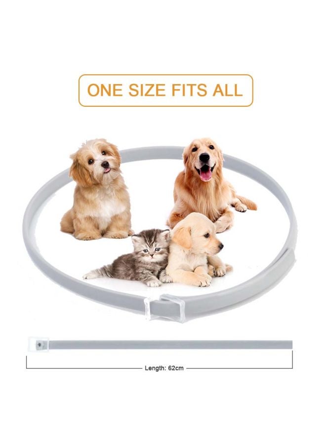 طوق للحيوانات الأليفة مضاد للماء رمادي 62سم - Image 5