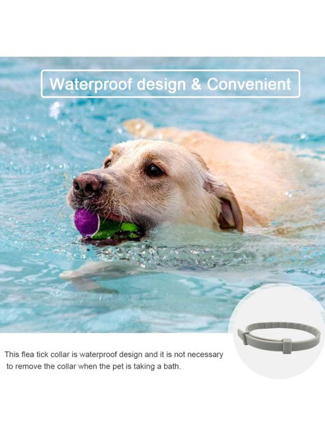 Waterproof Pet Collar Grey 38cm - Image 2
