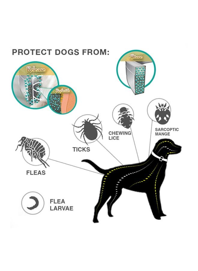 Waterproof Pet Collar Grey 38cm - Image 3