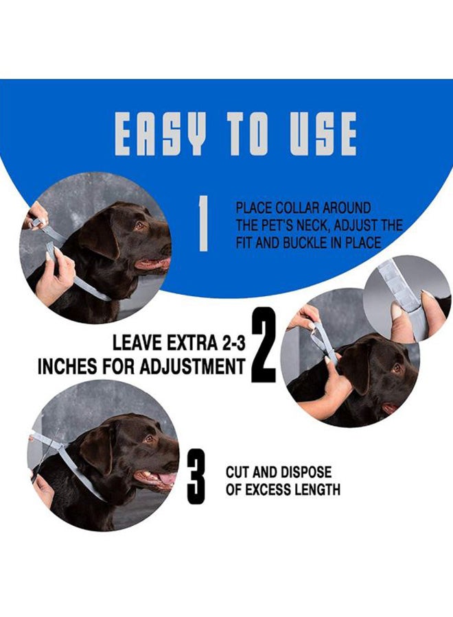 Waterproof Pet Collar Grey 38cm - Image 4