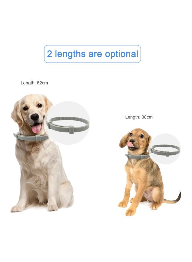 Waterproof Pet Collar Grey 38cm - Image 5