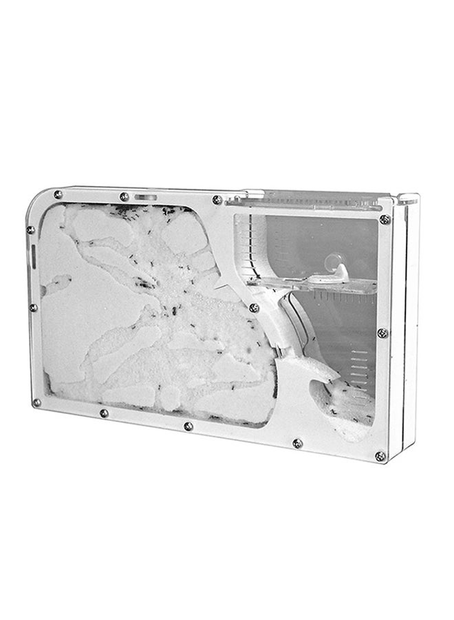 Generic DIY Antgranery Moisture Feeding Area Silver 36.5x8x19.5cm 
