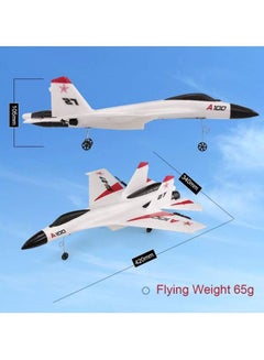 Fixed Wing Outdoor RC Airplane A100 43x34x9cm - v1597673237/N20779381A_9