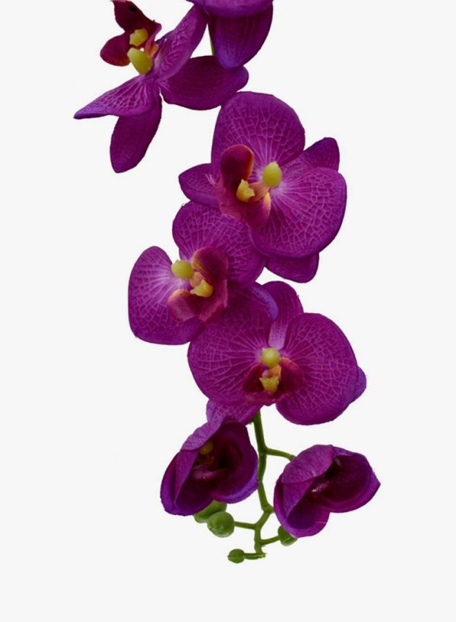 ياتاي زهور أوركيد صناعية معلقة قرمزي داكن 70Ø³Ù†ØªÙŠÙ…ØªØ± - Image 2