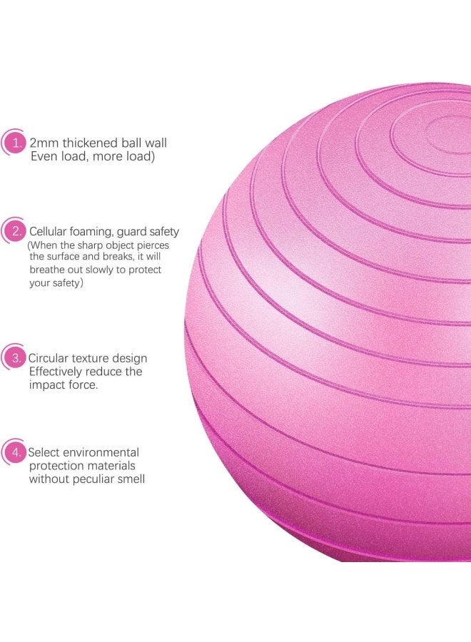 TOMSHOO Anti-Burst Yoga Ball With Hand Pump 55cm  - Image 2