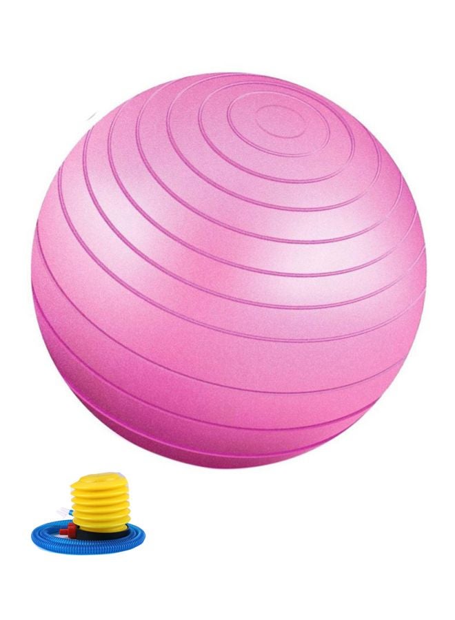 TOMSHOO Anti-Burst Yoga Ball With Hand Pump 55cm  - Image 1