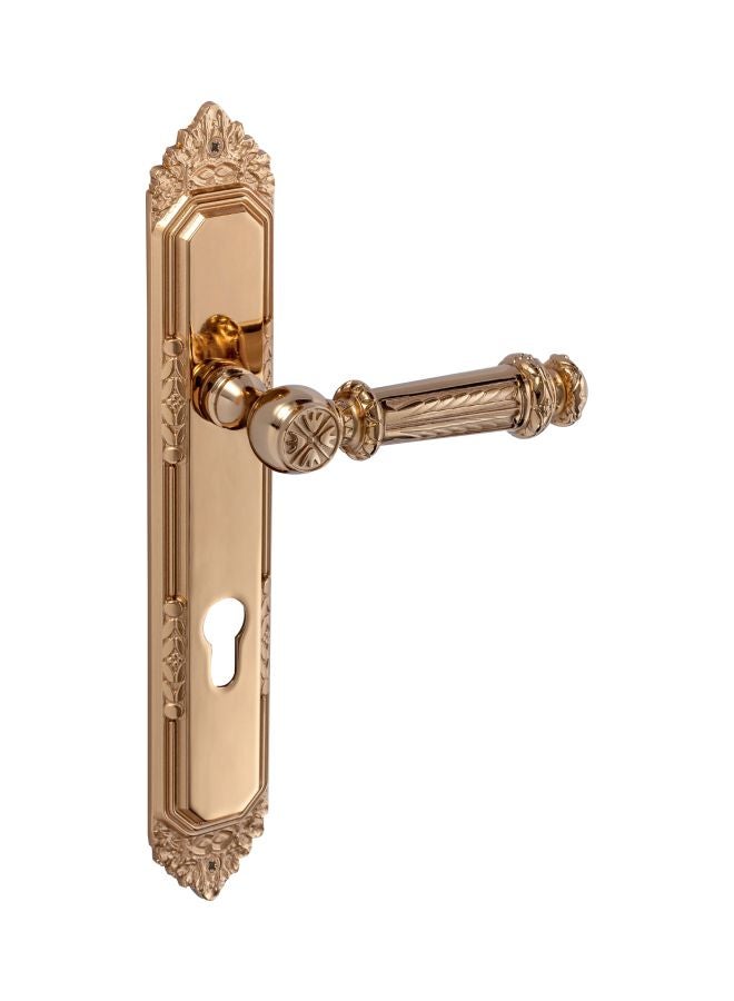 دوجانلار طقم مقبض باب إيكوسيلانس مع قفل - Image 1