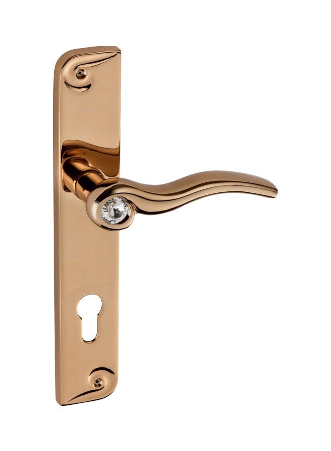 Doganlar Denizati Tasli Door Handle Albrifin 