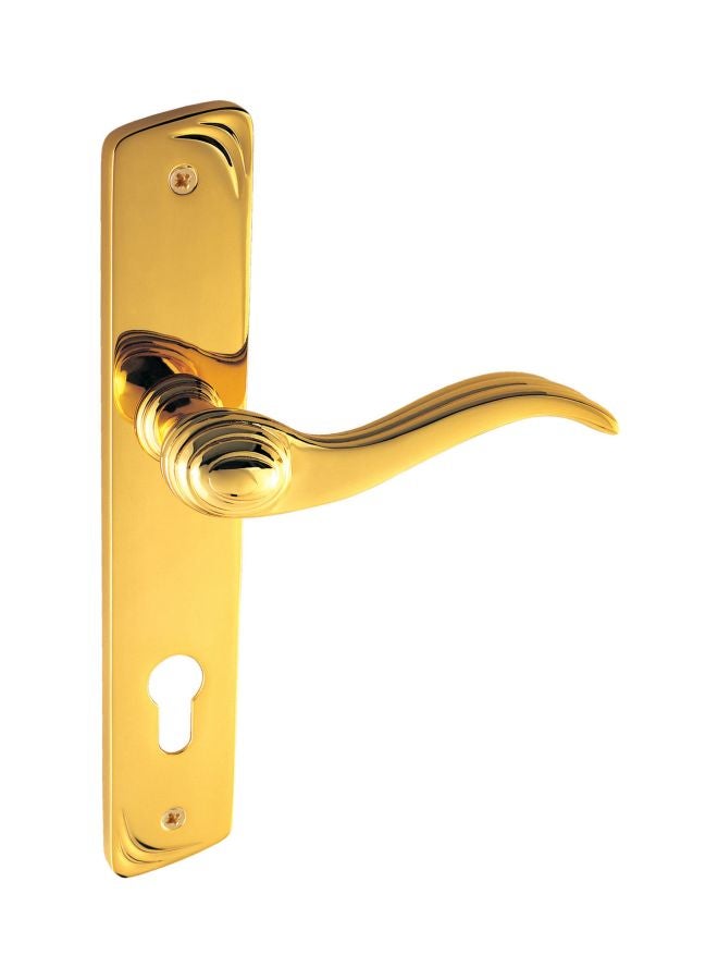 Doganlar Imza Door Handle Gold 