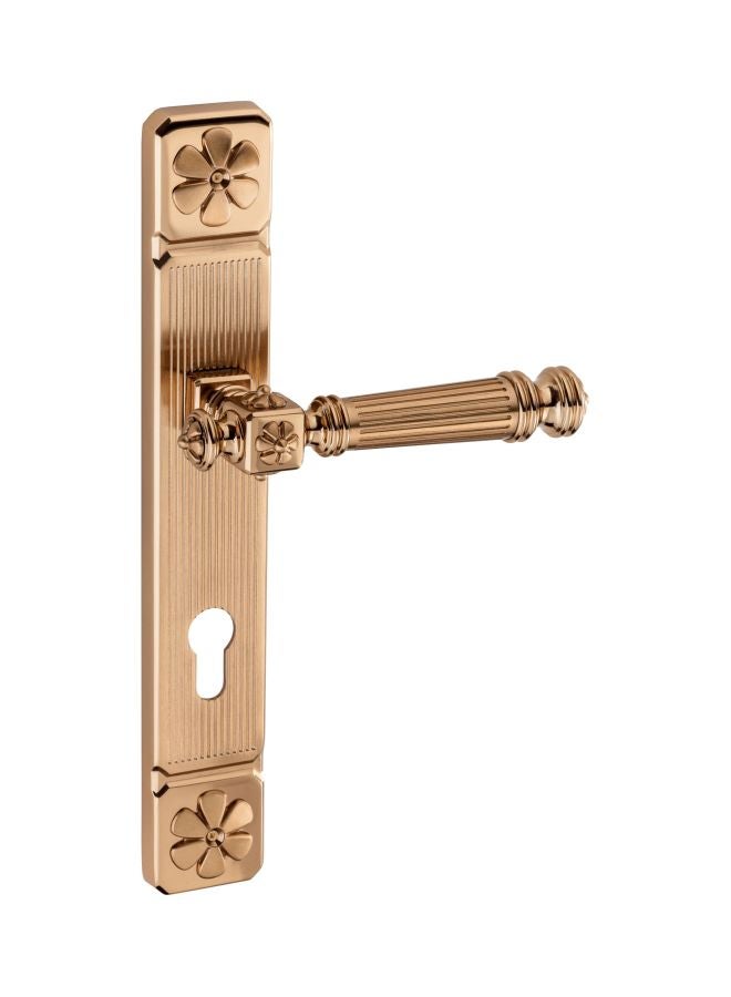 Doganlar Yonca Door Handle Gold 
