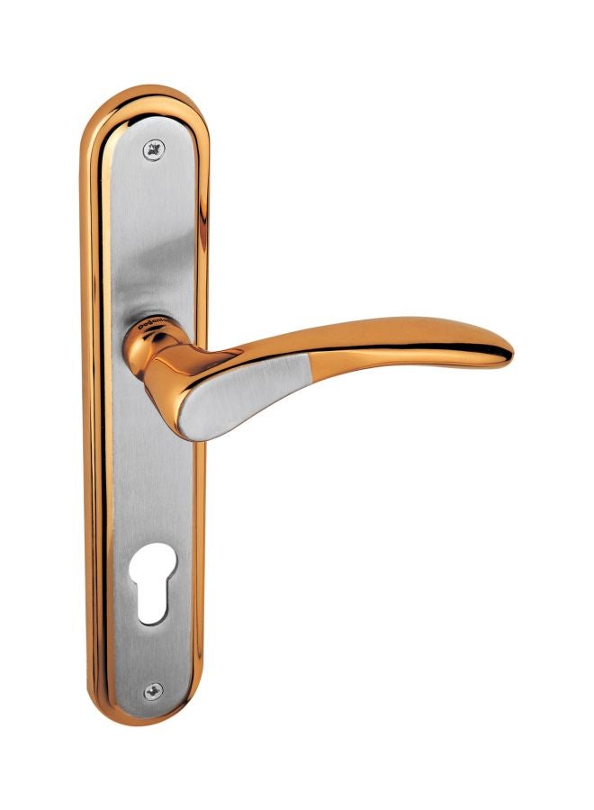 Doganlar Atlas Door Handle Gold/Silver 