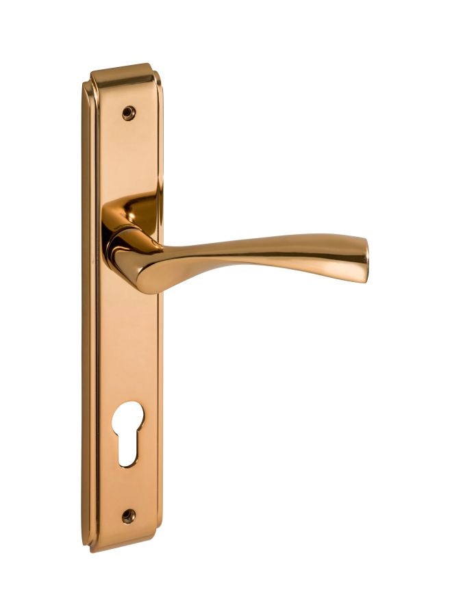 مقبض باب زد.نيون ذهبي