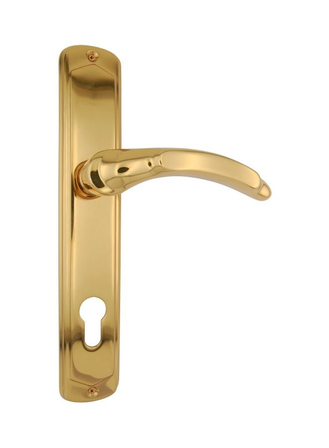 Star Door Handle Gold