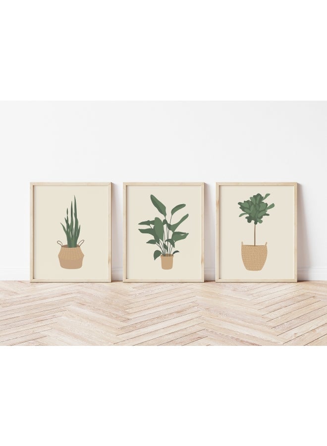 Boomah Accessories 3-Piece Tropical Plant Themed Poster With Frame Set Beige/Green 3x (30x40)cm 