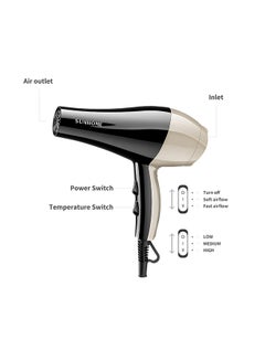 Sunhome 3-Piece Professional Hair Dryer Set ,1800W Black/Gold  - Image 3