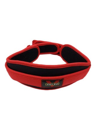 Weight Lifting Belt S - v1598620456/N40014239A_1