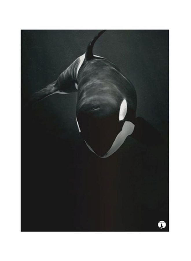 بي بي ملصق لوحة معدنية مزين بطبعة تمثل الحوت القاتل أسود 15x20Ø³Ù†ØªÙŠÙ…ØªØ±