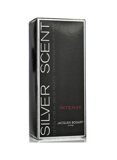 Silver Scent Intense EDT 100ml - v1598685964/N38464190A_2