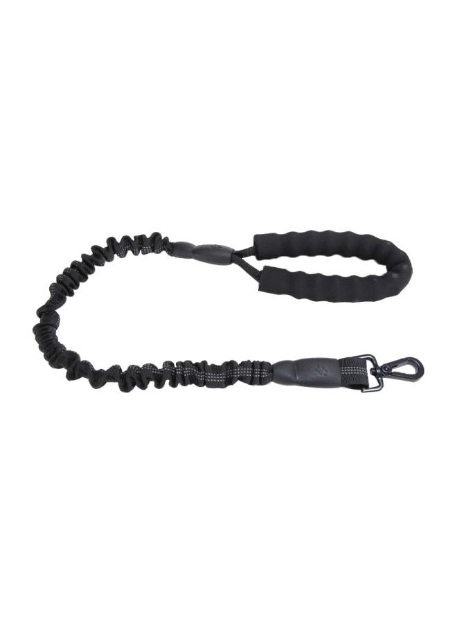 بيوينتي حبل مقود لتمشية الكلاب أسود 75سم - Image 1