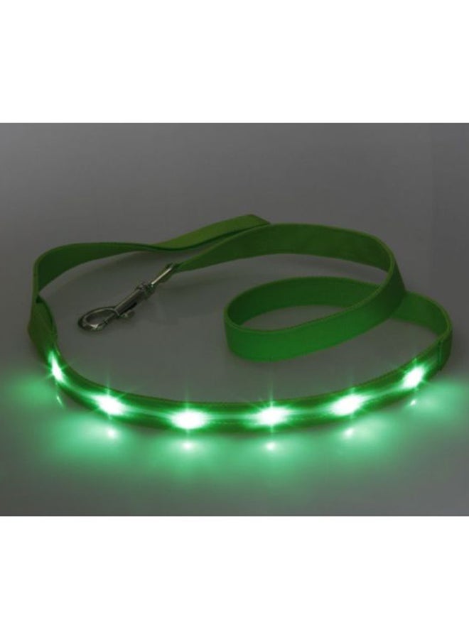 بيوينتي حزام من النايلون للكلاب أخضر 120سم - Image 3