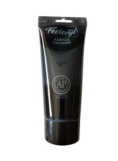Fevicryl Acrylic Paint Colour Tube Mars Black Pigment 