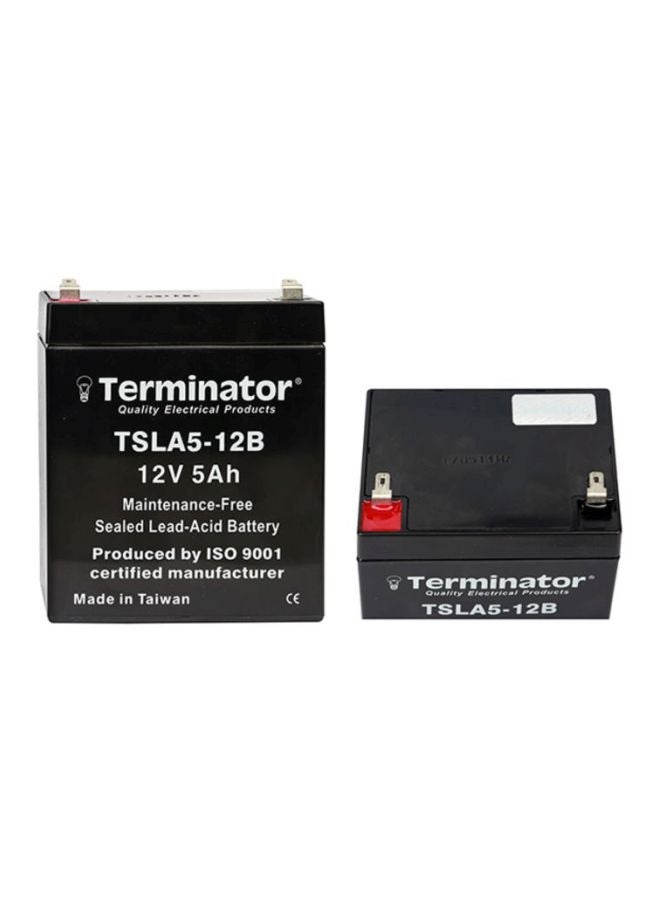 Terminator Sealed Lead-Acid Battery - Image 1