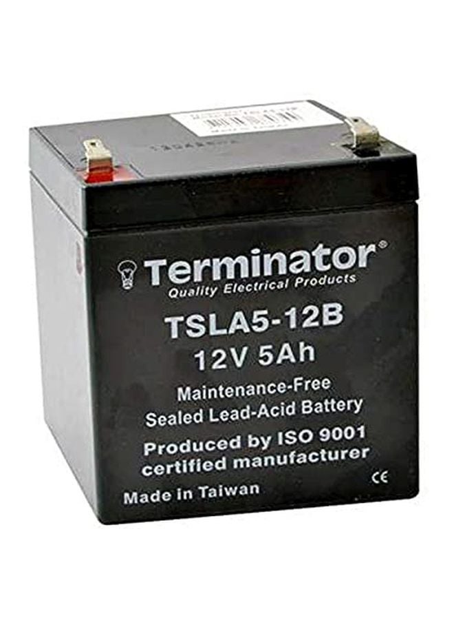 Terminator Sealed Lead-Acid Battery - Image 2