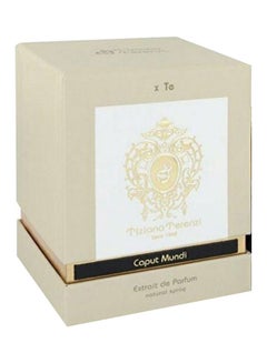 Tiziana Terenzi Caput Mundi EDP 100ml  - Image 2