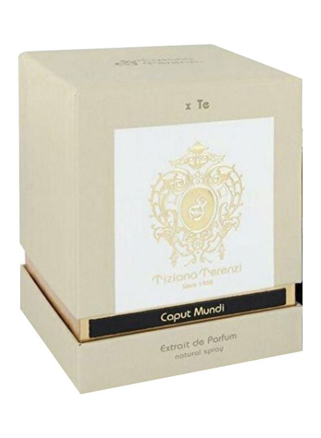 Tiziana Terenzi Caput Mundi EDP 100ml - Image 2