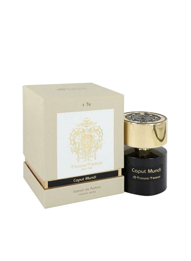 Tiziana Terenzi Caput Mundi EDP 100ml - Image 3