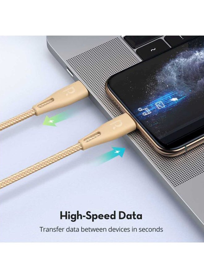 RAVPOWER Type-C To Lightning Data Sync Charging Cable Gold  - Image 3