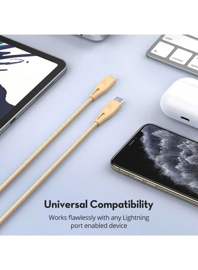 RAVPOWER Type-C To Lightning Data Sync Charging Cable Gold  - Image 4