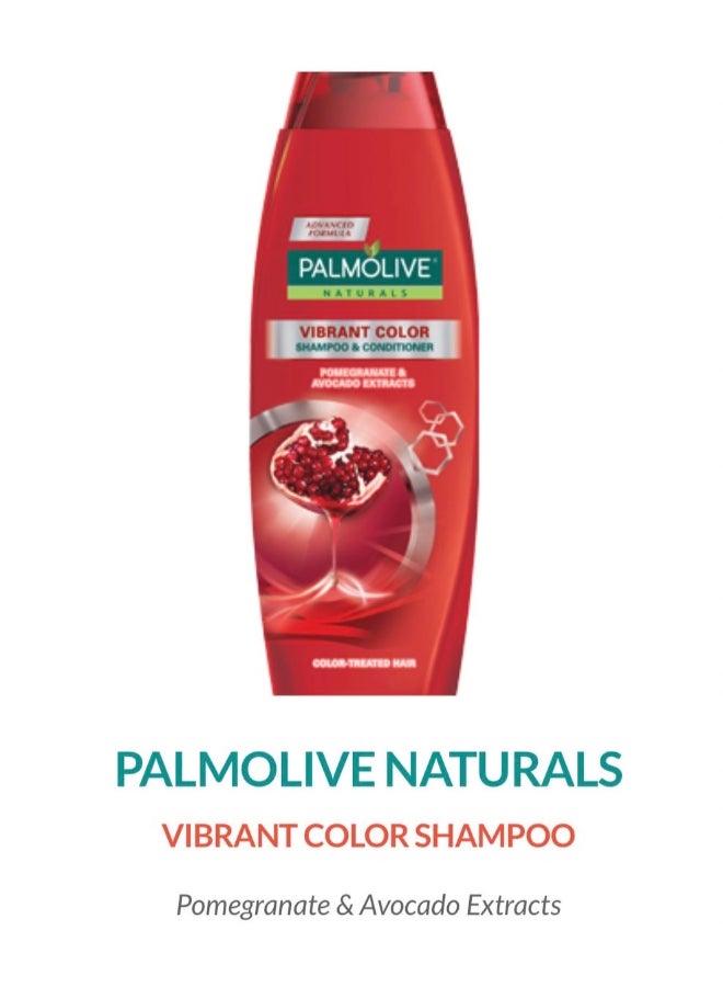 Palmolive - Vibrant Color Shampoo And Conditioner 380ml - Image 1