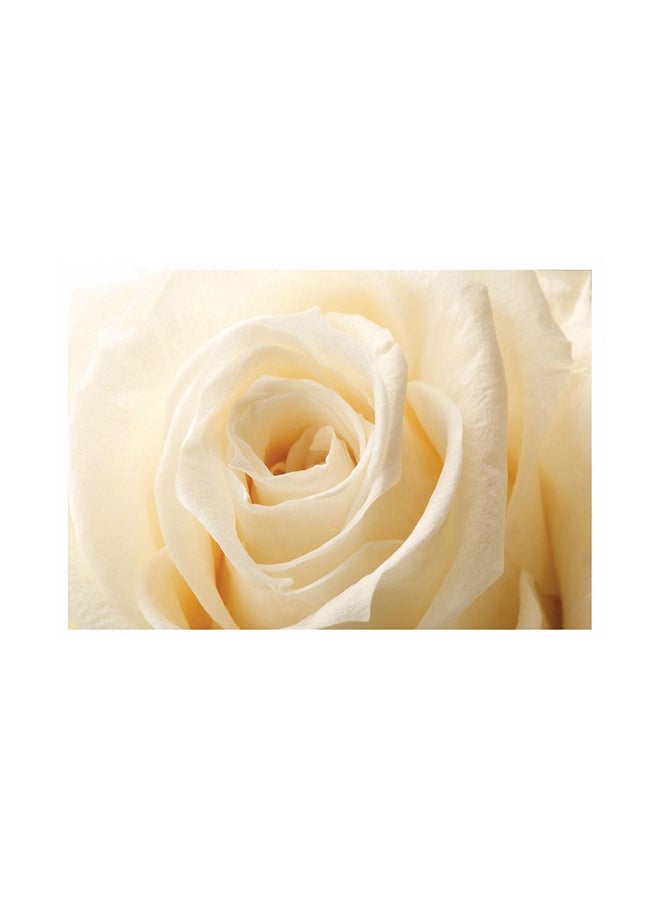 Rose 3D Printed PVC Wallpaper Beige/White