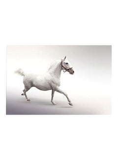 Horse Canvas Painting White 45x30cm - v1599024915/N40086193A_1