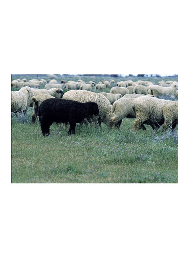 Sheeps Canvas Painting Multicolour 30x45cm
