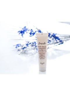 Fresh Soy Face Cleanser 20ml  - Image 2