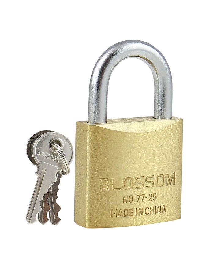 Blossom Brass Pad Lock Gold/Silver - Image 1