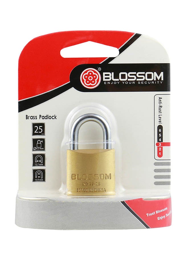 Blossom Brass Pad Lock Gold/Silver - Image 2
