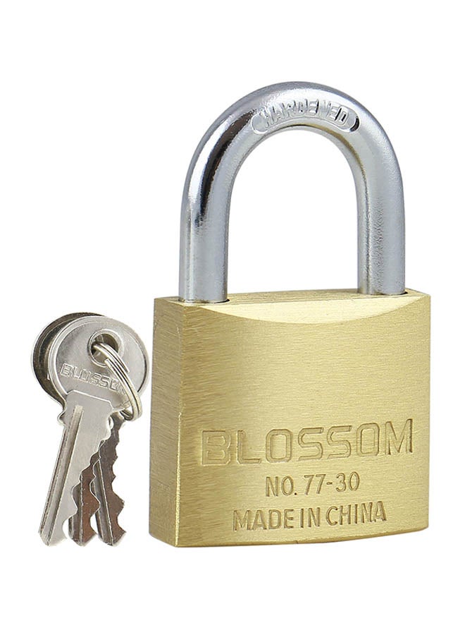 Blossom Brass Pad Lock Gold/Silver - Image 1