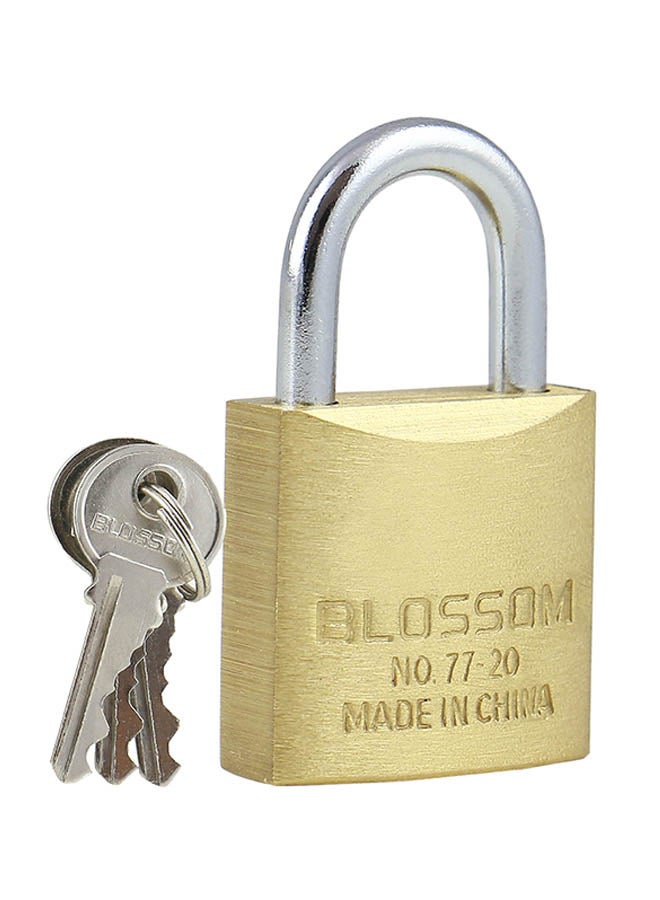 Blossom Brass Pad Lock Gold/Silver - Image 1