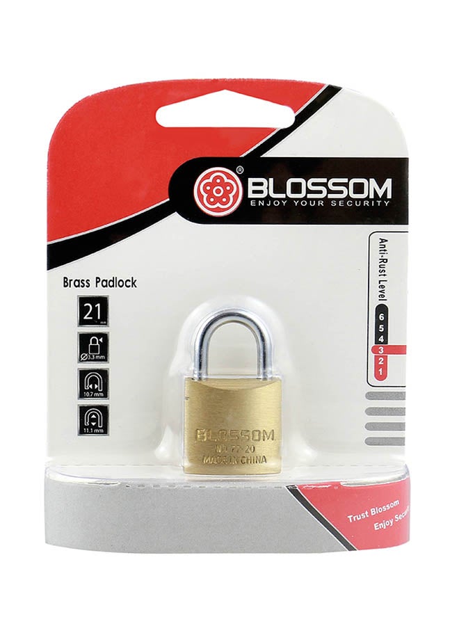 Blossom Brass Pad Lock Gold/Silver - Image 2