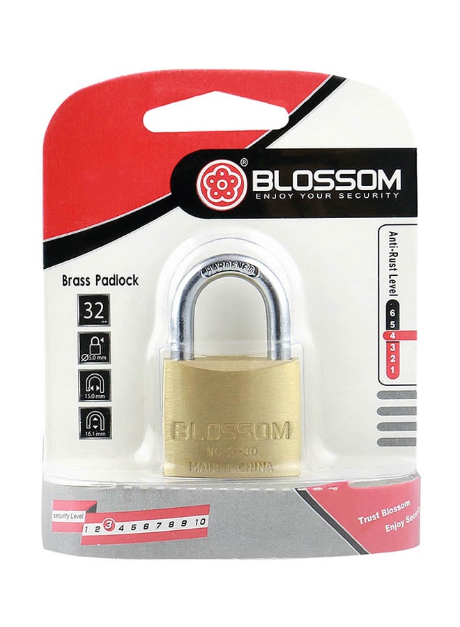 Blossom Brass Pad Lock Gold/Silver - Image 2