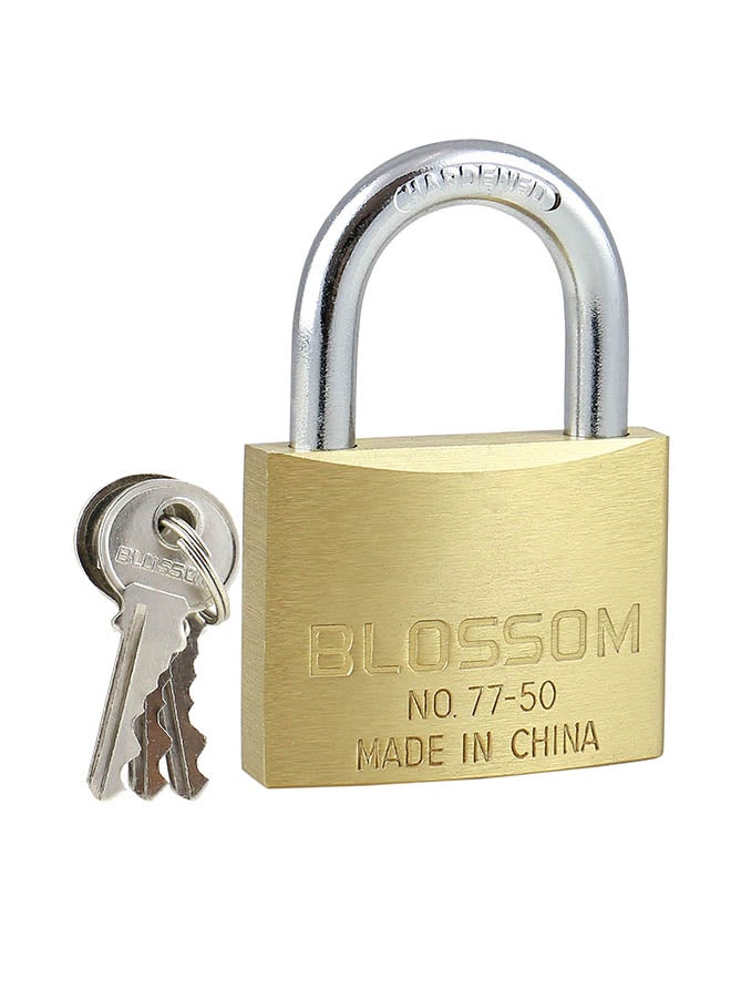بلوسوم قفل بحلقة من النحاس الأصفر ذهبي/فضي - Image 1