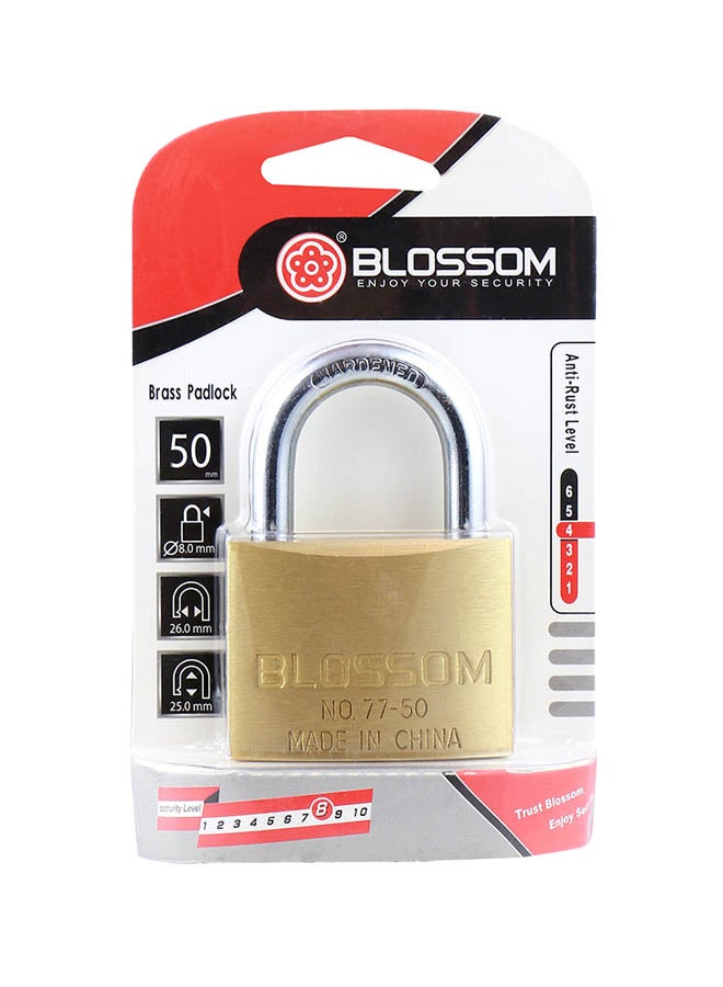 بلوسوم قفل بحلقة من النحاس الأصفر ذهبي/فضي - Image 2