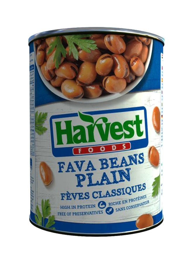 HARVEST Plain Fava Beans 400grams  - Image 2