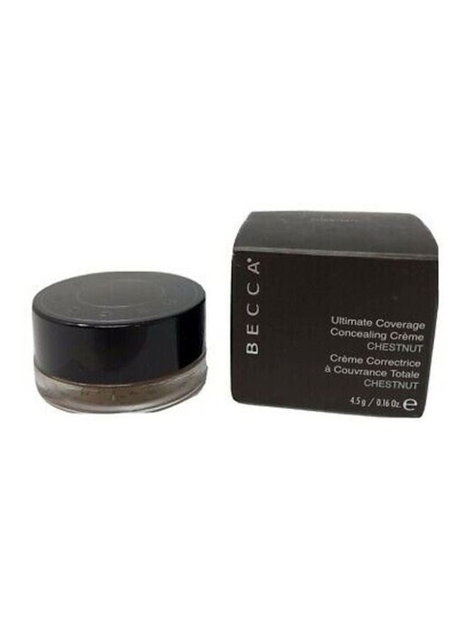 BECCA Ultimate Coverage Concealing Creme Chestnut  - Image 3